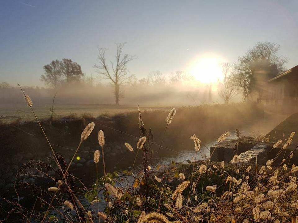 Agriturismo Helianthus Farm stay Oleggio