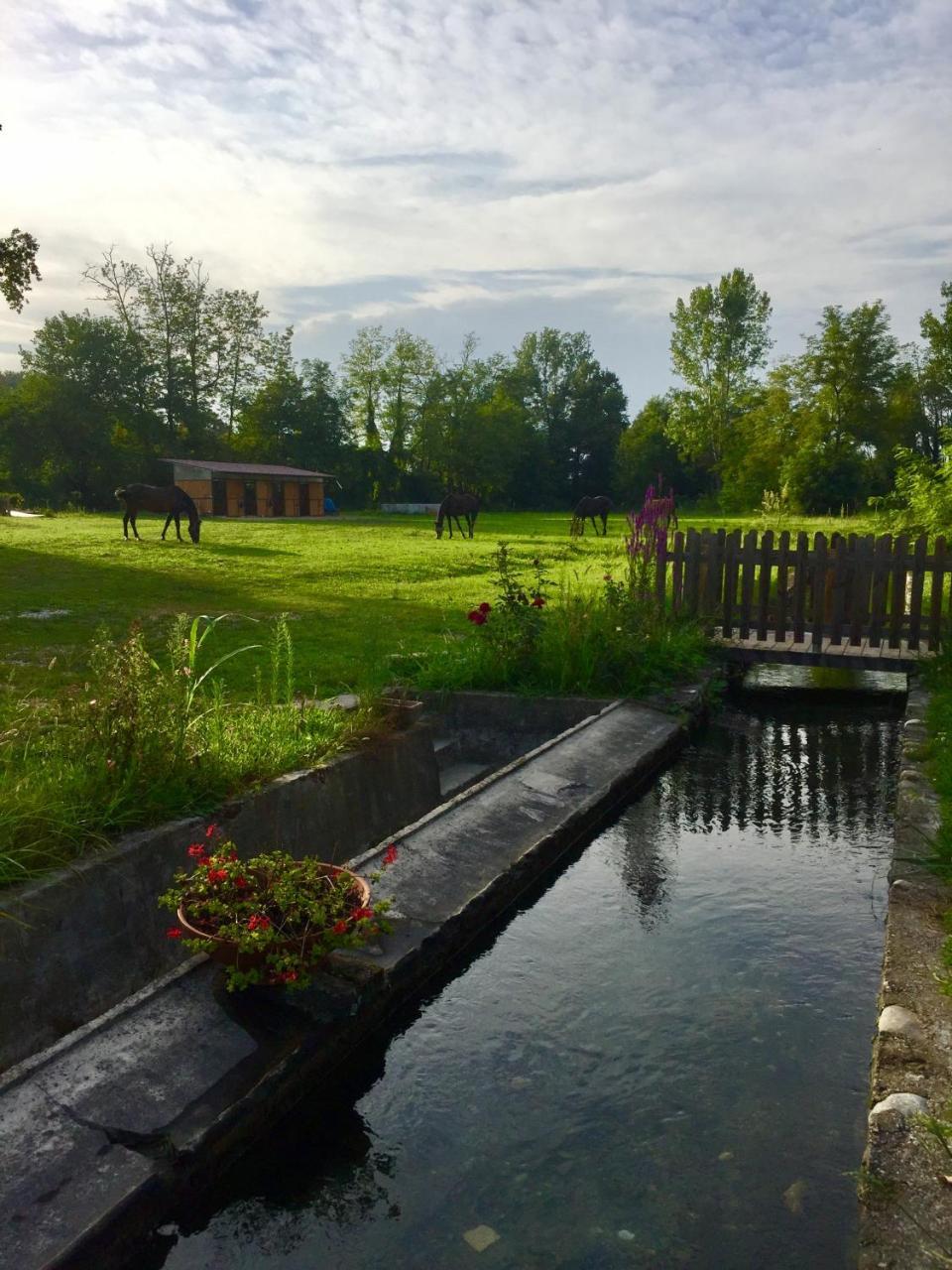 Farm stay Agriturismo Helianthus