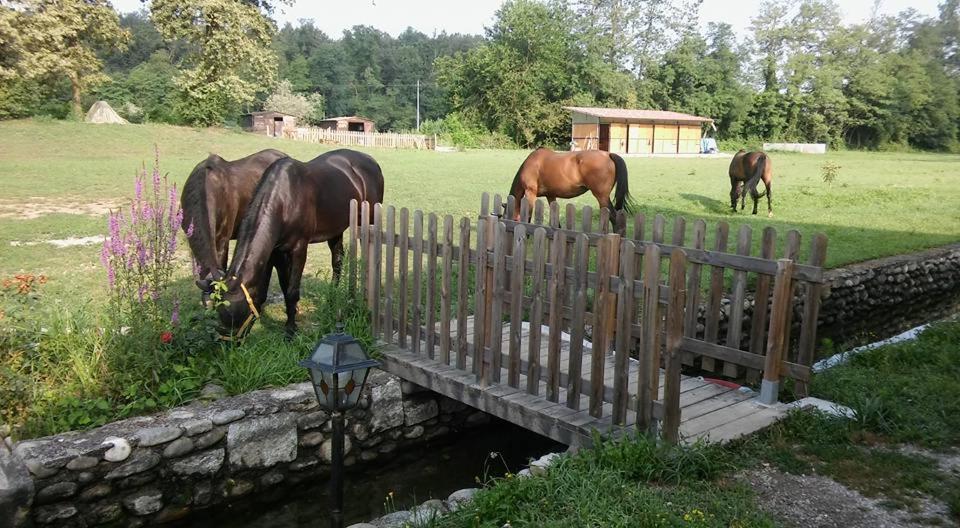 Agriturismo Helianthus Farm stay Oleggio