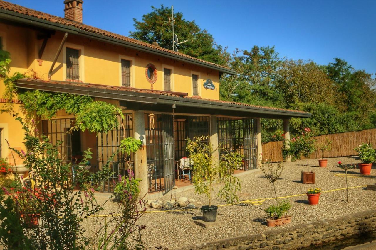 Bauernhof Helianthus